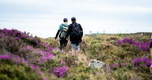 Derbyshire Wildlife Trust secures landmark 600-acre Wild Peak site