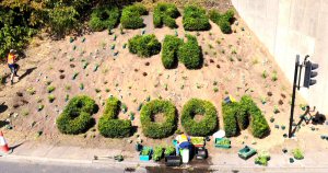 Completion of Derby in Bloom planting restores landmark city gateway