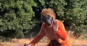 Have you spotted an orangutan cycling around Amber Valley?