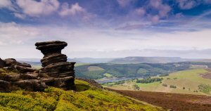 Putting the missing pieces back: urgent appeal launches to restore nature across the Wild Peak